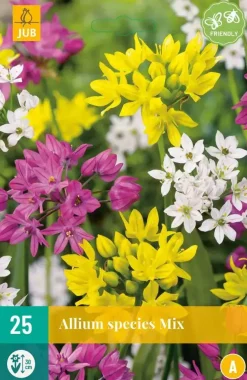 Allium species Mix 25 allium bollen