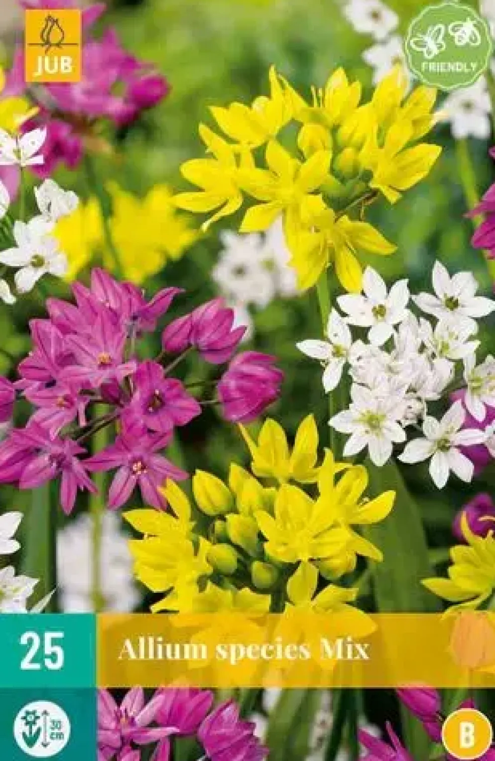 Allium species Mix 25 allium bollen