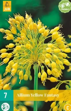 Allium yellow fantasy 7 bloembollen