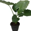 Alocasia macrorrhizos (Olifantsoor) 130cm
