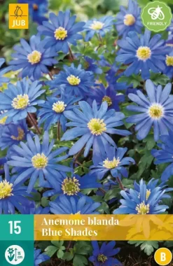 Anemone bl. Blue Shades 15 bloembollen