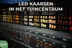 Anna's Collection LED kaars flame effect rustiek set 7.5 cm lichtroze 3 stuks
