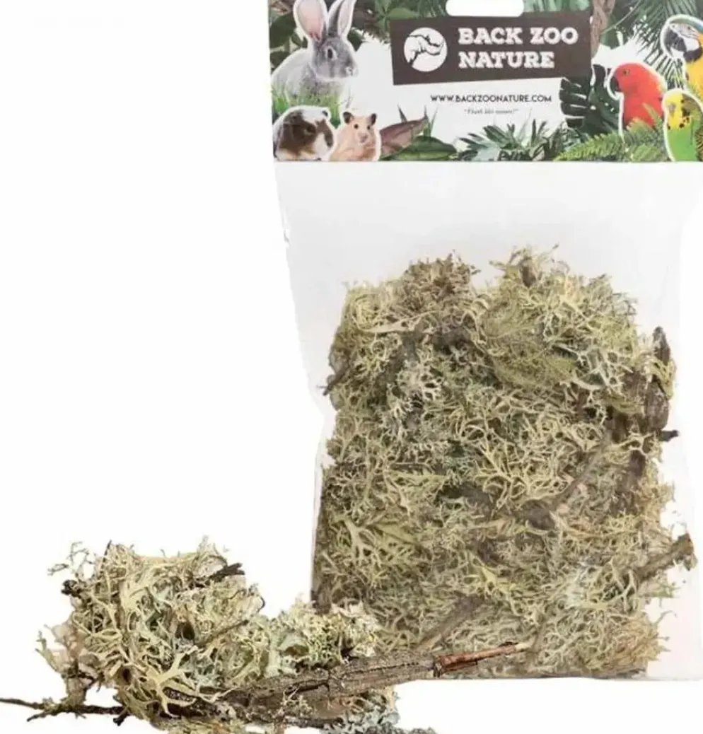 Back Zoo Nature Discovery Branch Moss – 50 g