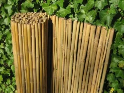Bamboe rolscherm dalian 35x200 cm