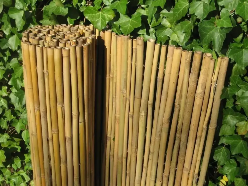Bamboe rolscherm dalian 35x200 cm