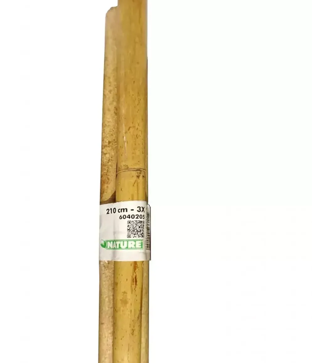 Bamboestok 300cm d20-22mm 3st