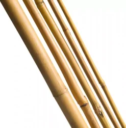 Bamboestok 300cm d20-22mm 3st