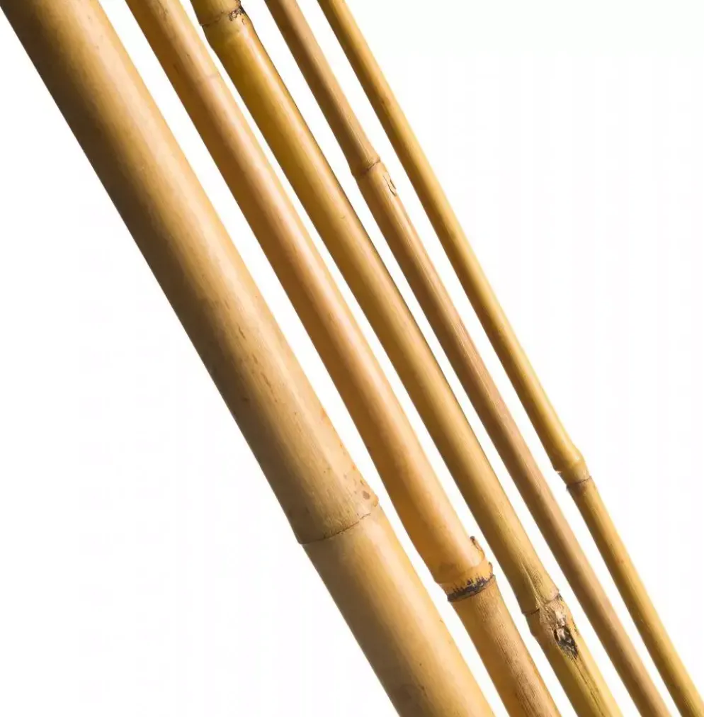 Bamboestok 300cm d20-22mm 3st