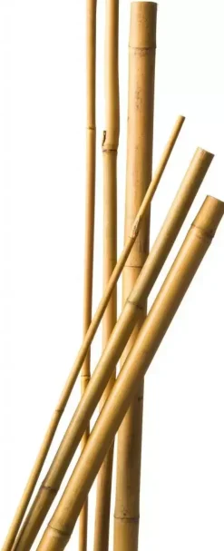 Bamboestok 270cm d20-22mm 3st