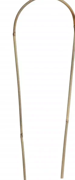 Bamboestok gebogen h150cm naturel