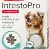 Beaphar IntestoPro tabletten hond vanaf 20kg