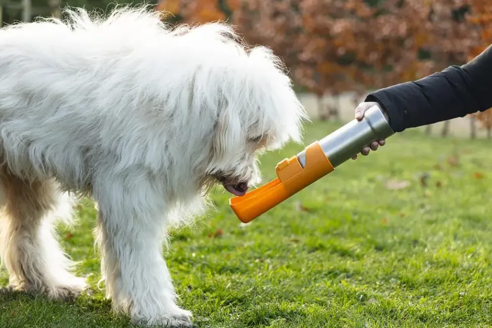 Beeztees drinkfles hond Loe plastic 532ml d7.5h26cm - 3 kleuren
