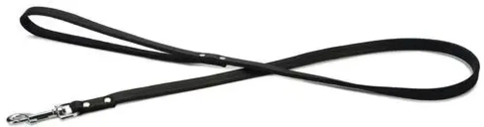 Beeztees hondenriem leer 100x1.2cm zwart