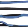 Beeztees hondenriem Parinca premium nylon 300x2cm blauw