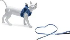 Beeztees Parinca kattentuig met lijn blauw M/L