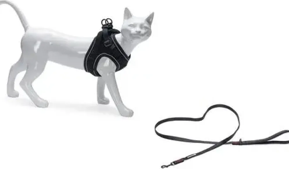 Beeztees Parinca kattentuig met lijn zwart M/L
