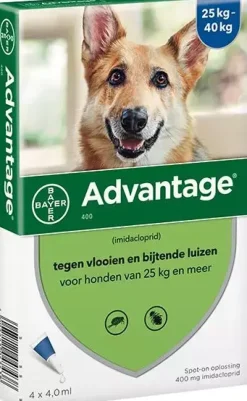 Beschermt honden tegen vlooien