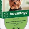 Beschermt honden tegen vlooien