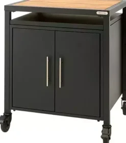 Big Green Egg Expansion cabinet