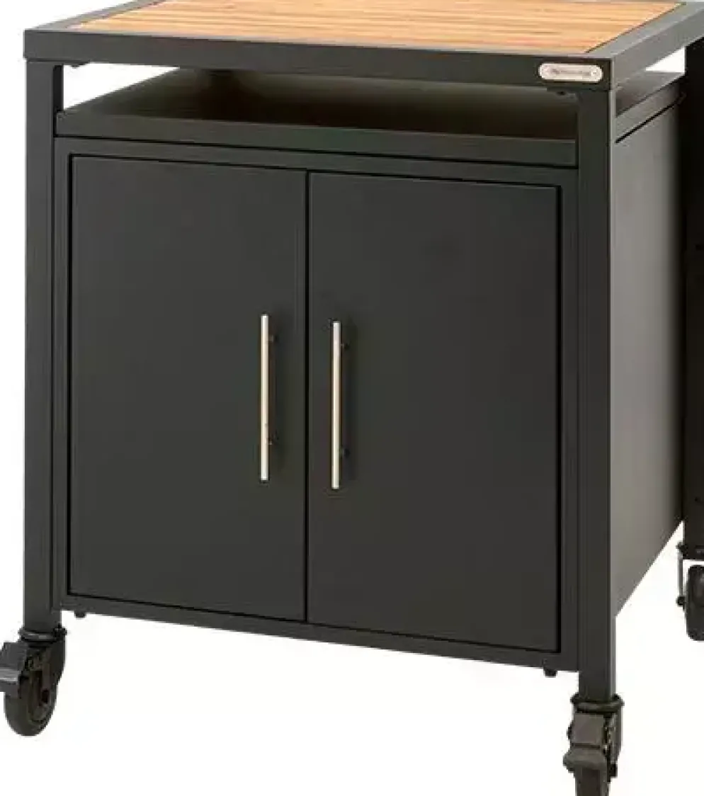 Big Green Egg Expansion cabinet