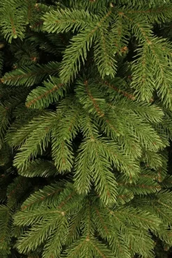 Black Box Trees Brampton slim kunstkerstboom groen 215cm