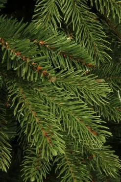 Black Box Trees Brampton slim kunstkerstboom groen 185cm