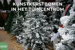 Black Box Trees frasier - kunstkerstboom 161x260 cm groen