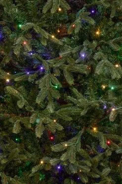 Black Box Trees frasier self shaping kunstkerstboom met verlichting 147x230 cm groen