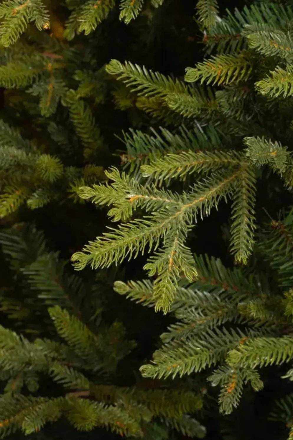 Black Box Trees Hanson kunstkerstboom groen 185cm