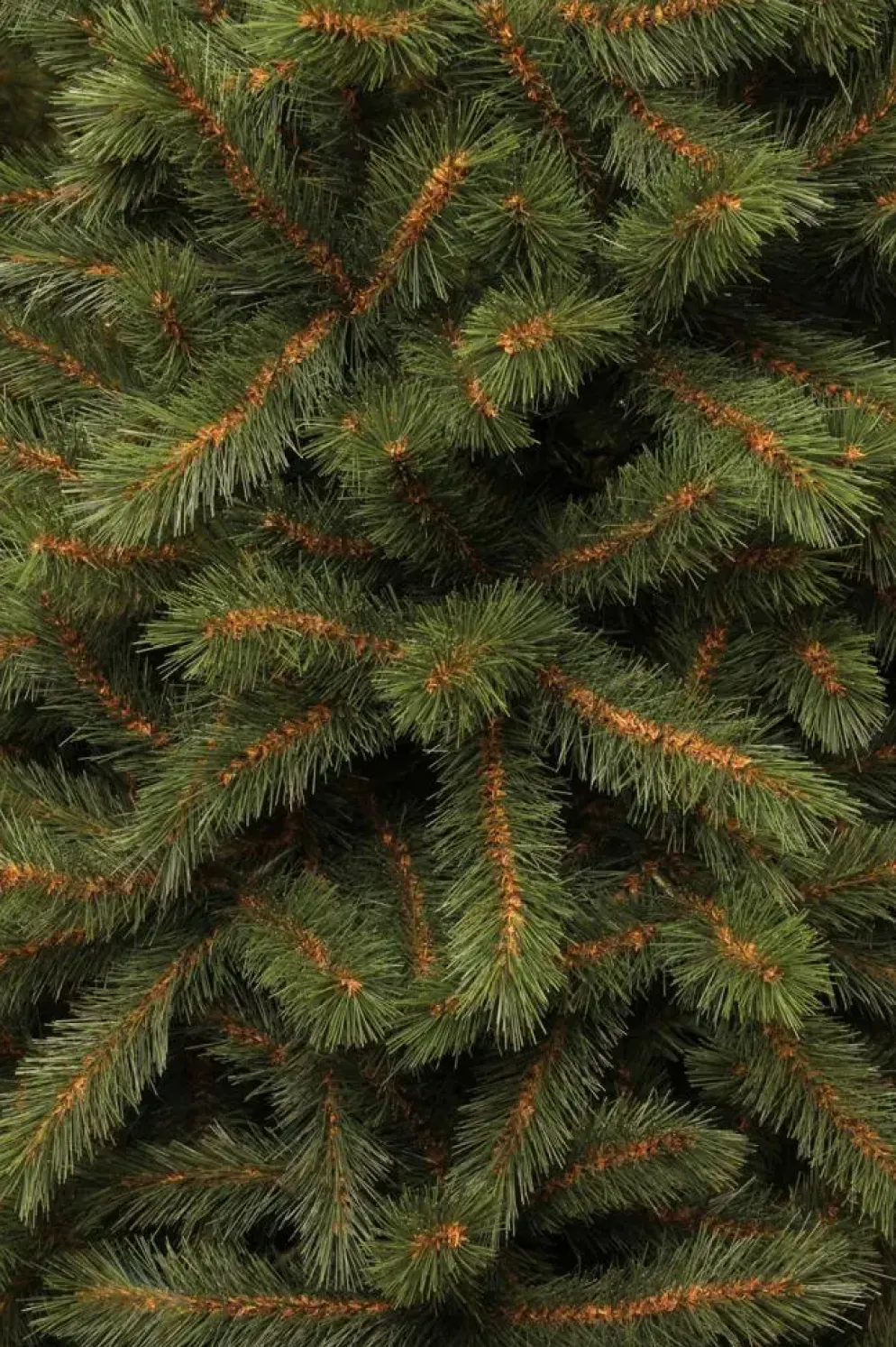 Black Box Trees Kingston kunstkerstboom groen 215cm