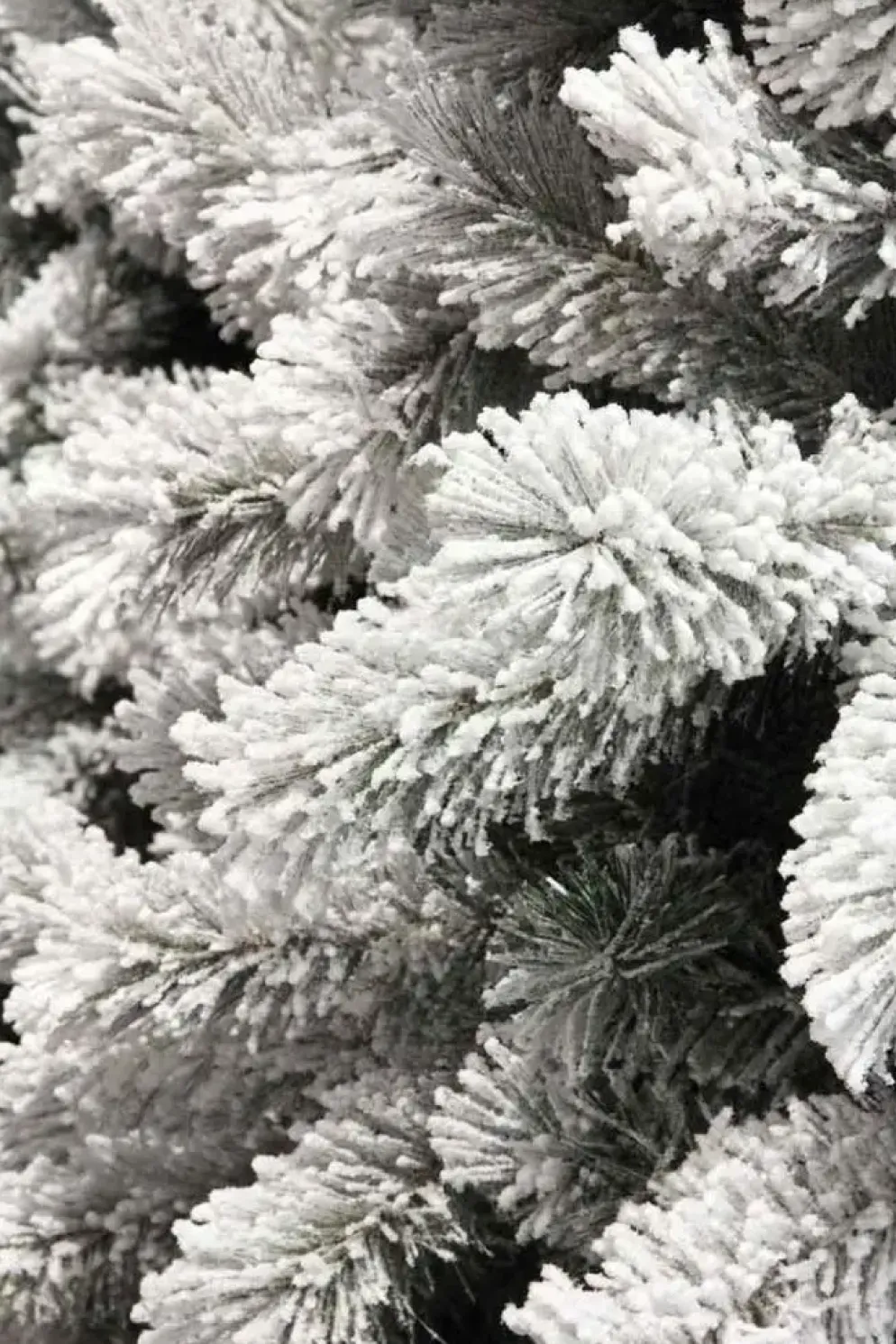 Black Box Trees Medford kunstkerstboom besneeuwd groen 155cm
