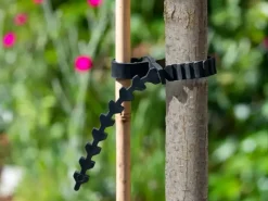 Boomband rattenstaartsl. l60cm 2st