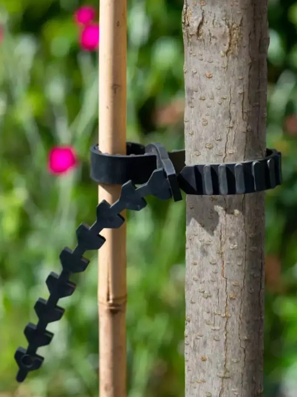 Boomband rattenstaartsl. l60cm 2st