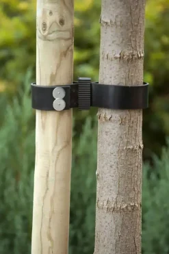 Boomband rubber/canv. l60b3.8cm 2st