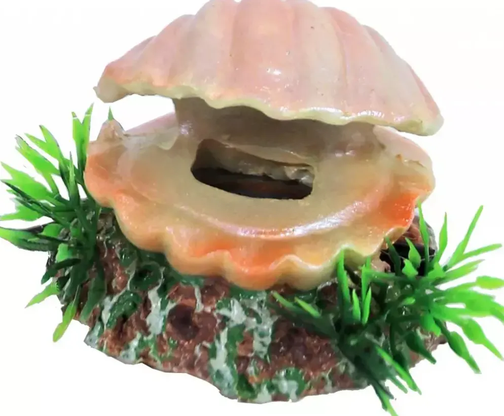 Boon aqua deco ornament bubbel polyresin schelp met uitstromer, 5,5 cm