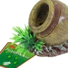 Boon aqua deco ornament bubbel polyresin pot met uitstromer, 5,5 cm