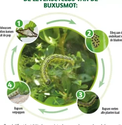 BSI Omni insect 25 ml
