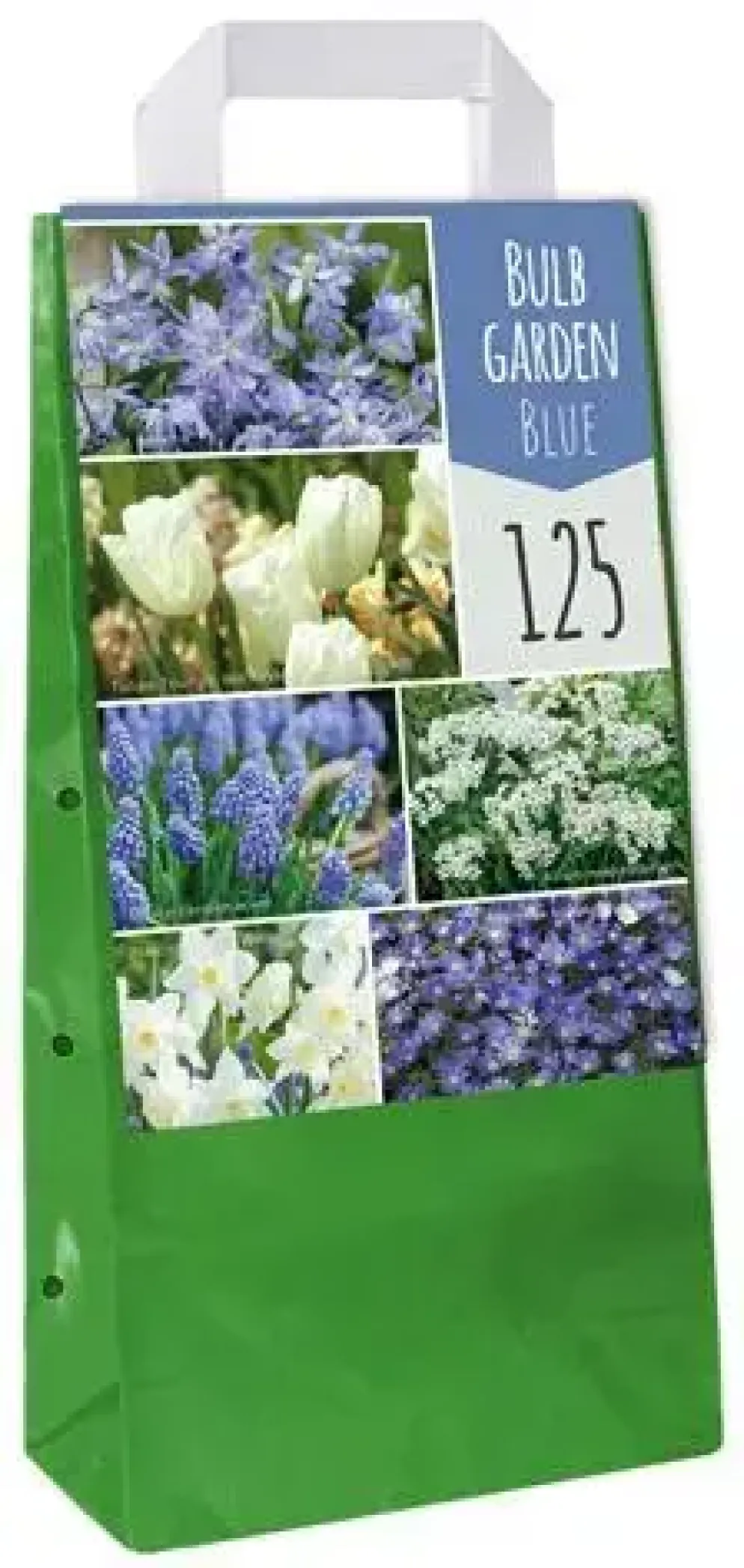 Bulb garden blue 125 bloembollen