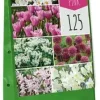 Bulb garden pink 125 bloembollen