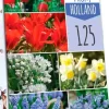 Bulbs from Holland 125 bloembollen