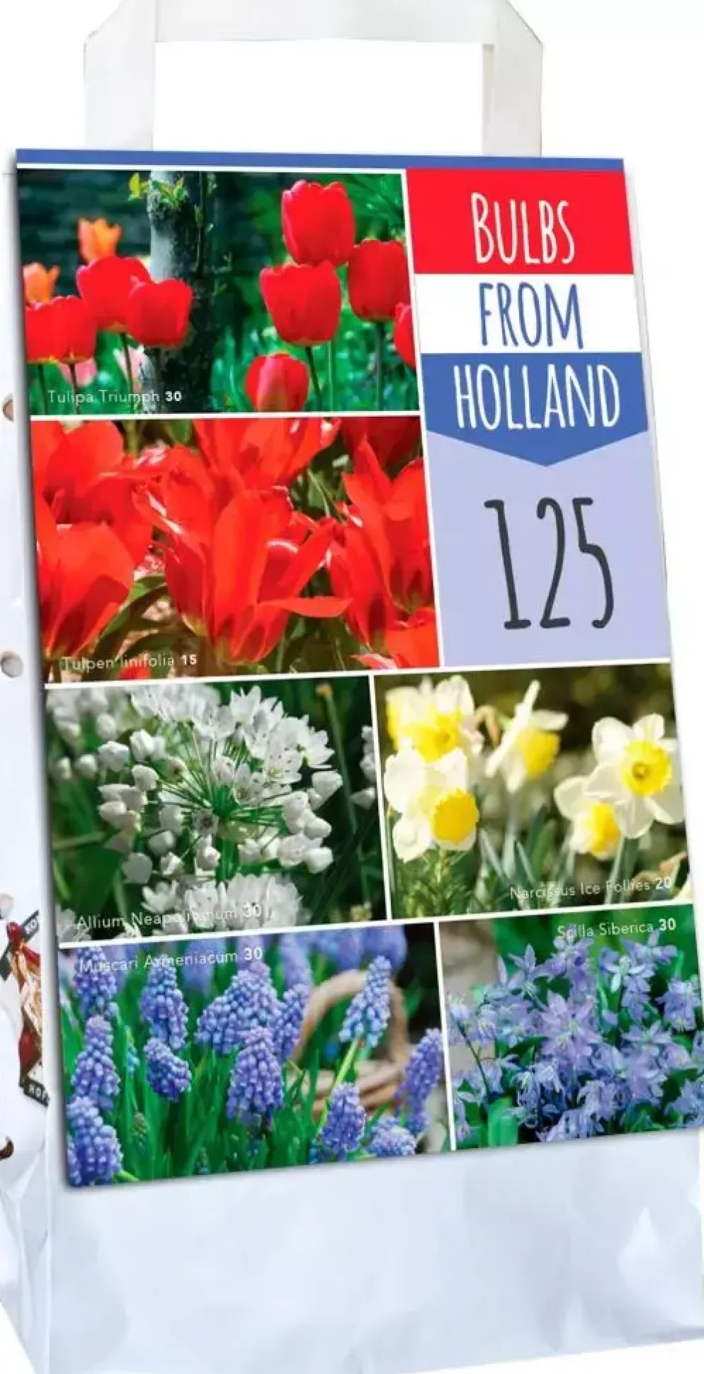 Bulbs from Holland 125 bloembollen