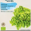 Buzzy® Andijvie Gele Volhart (BIO)