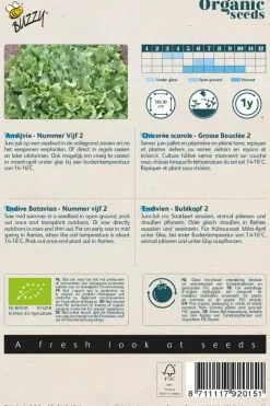 Buzzy® Andijvie Nummer Vijf 2 (BIO)