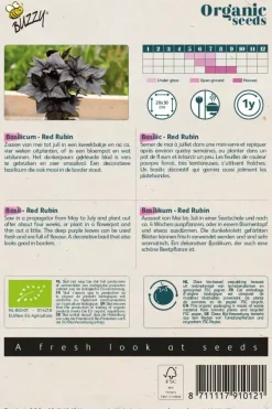 Buzzy® Basilicum Red Rubin (BIO)