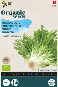 Buzzy® Krulandijvie Grosse Pancalière (BIO)