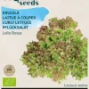 Buzzy® Krulsla Lollo Rossa (BIO)