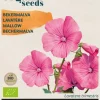 Buzzy® Lavatera, Bekermalva rose/rood (BIO)