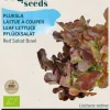 Buzzy® Pluksla Red Salad Bowl (BIO)