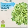 Buzzy® Pluksla Salad Bowl, groen (BIO)