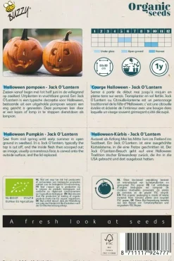 Buzzy® Pompoen Jack O'Lantern (BIO)